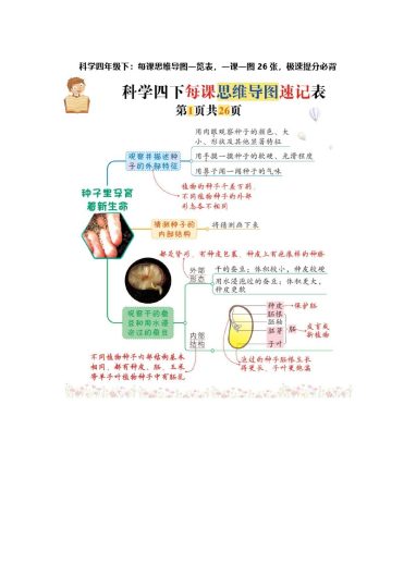科学四年级下：每课思维导图一览表，一课一图26张，极速提分必背 (1)-可达学习资料