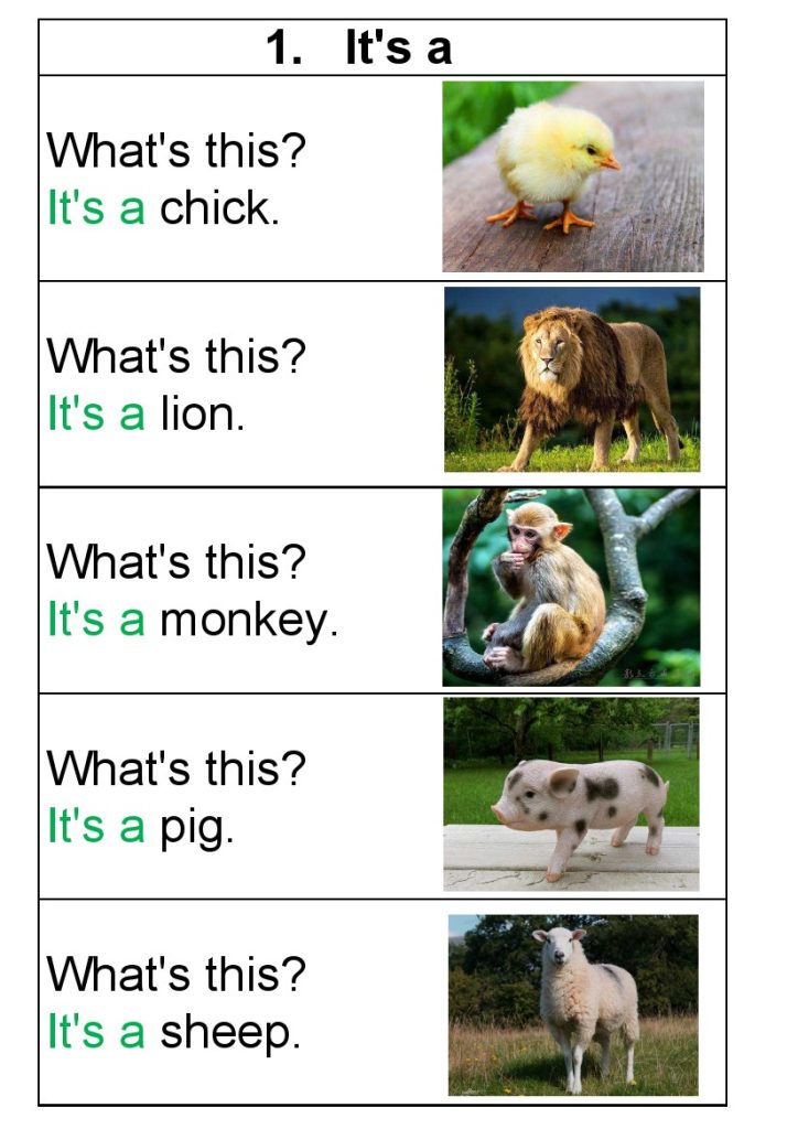 Susan教英语名词实物图开口神器-可达学习资料