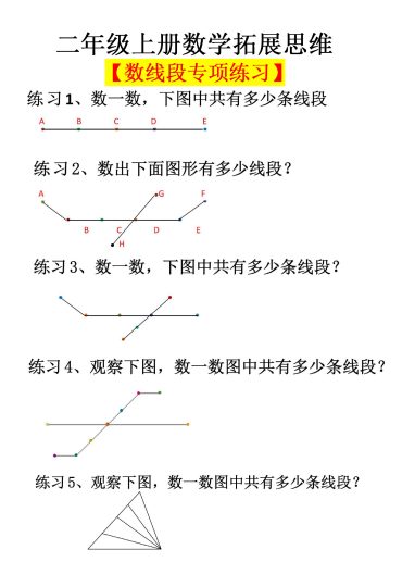 二（上）数学 数线段专项练习-可达学习资料