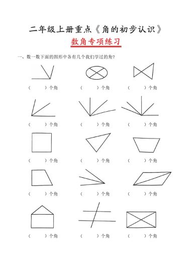 二（上）数学重点《数角专项》练习-可达学习资料
