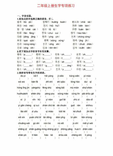 二（上）语文生字 词语专项训练-可达学习资料