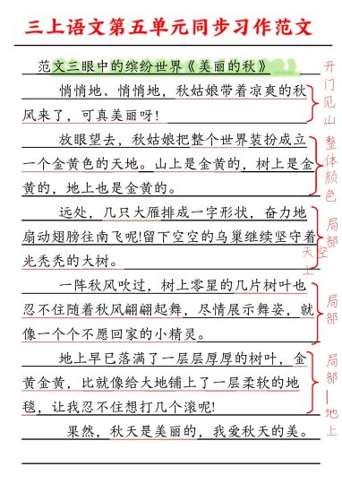 【第五单元同步习作范文】三上语文-可达学习资料