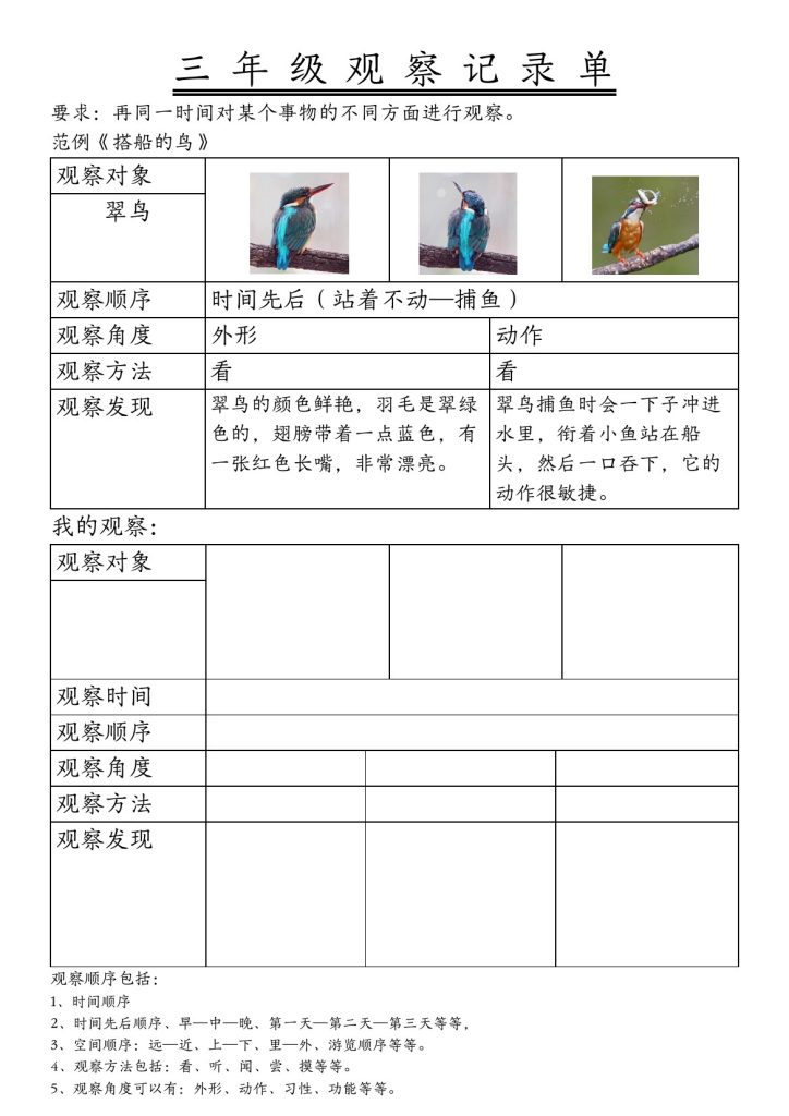 【观察记录单（空白二）】三上语文-可达学习资料