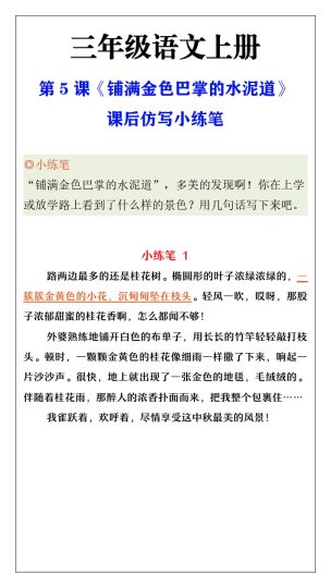 三年级语文上册第5课《铺满金色巴掌的水泥道》课后小练笔-可达学习资料