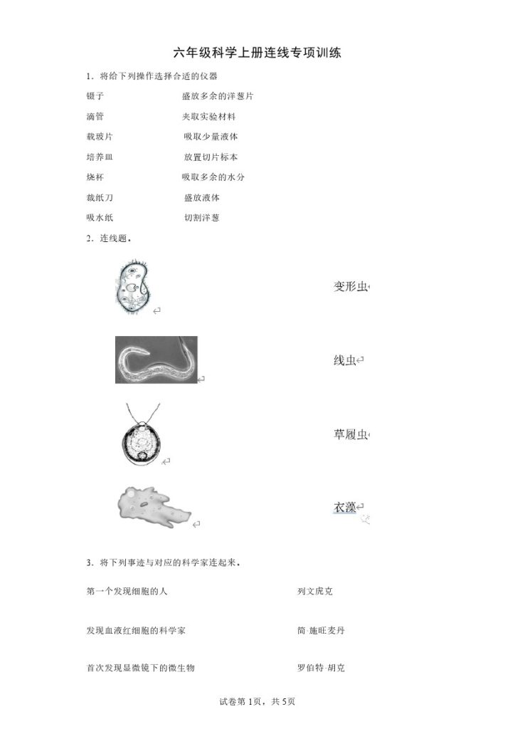 新教科版六年级科学上册【连线】专项训练（含答案）-可达学习资料