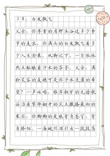 优美句子练笔（第5周）-可达学习资料