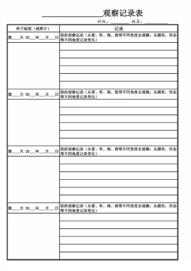 四上丨语文 第3单元习作观察日记专项练习四上语文（部编版）-可达学习资料
