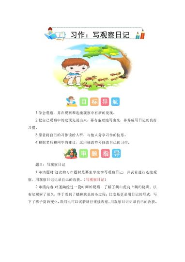 四上丨语文 第3单元习作：写观察日记（部编版）-可达学习资料