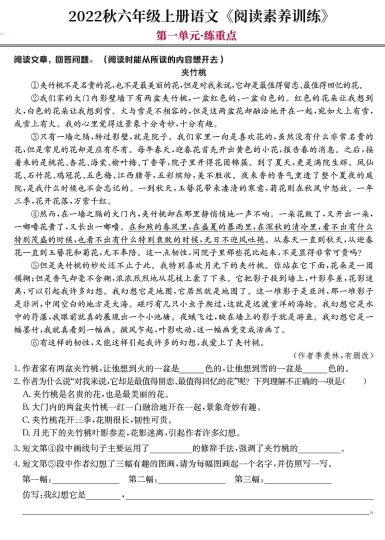 【阅读素养训练】六上语文1-8单元练习卷，22秋，全面突破抓重点！-可达学习资料